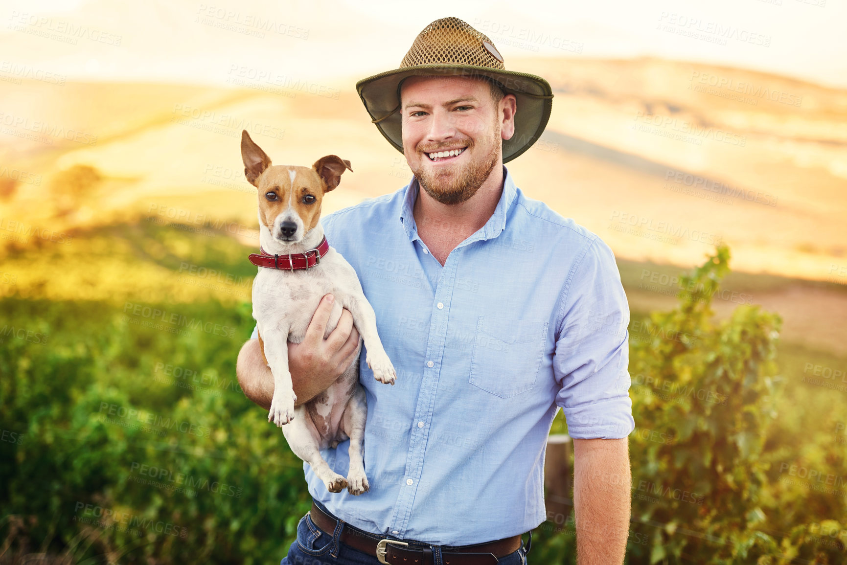 Buy stock photo Man, farmer and happy with dog in vineyard with hat, connection or care with growth, plants and fruits. Person, animal and portrait for grapes, production and countryside for sustainability in Texas