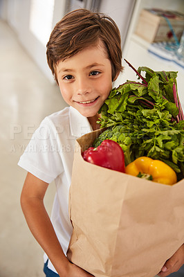 Buy stock photo Portrait of an adorable little boy carrying a bag of groceries into the kitchen