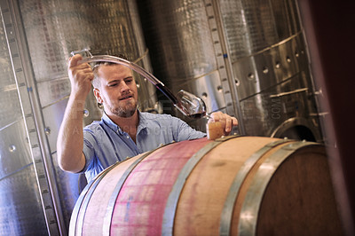 Buy stock photo Cropped shot of a sommelier pouring a glass of wine right out the barrel