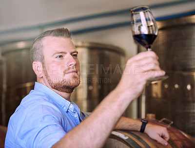 Buy stock photo Cropped shot of a man enjoying wine tasting in his distillery
