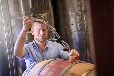 Buy stock photo Cropped shot of a sommelier pouring a glass of wine right out the barrel