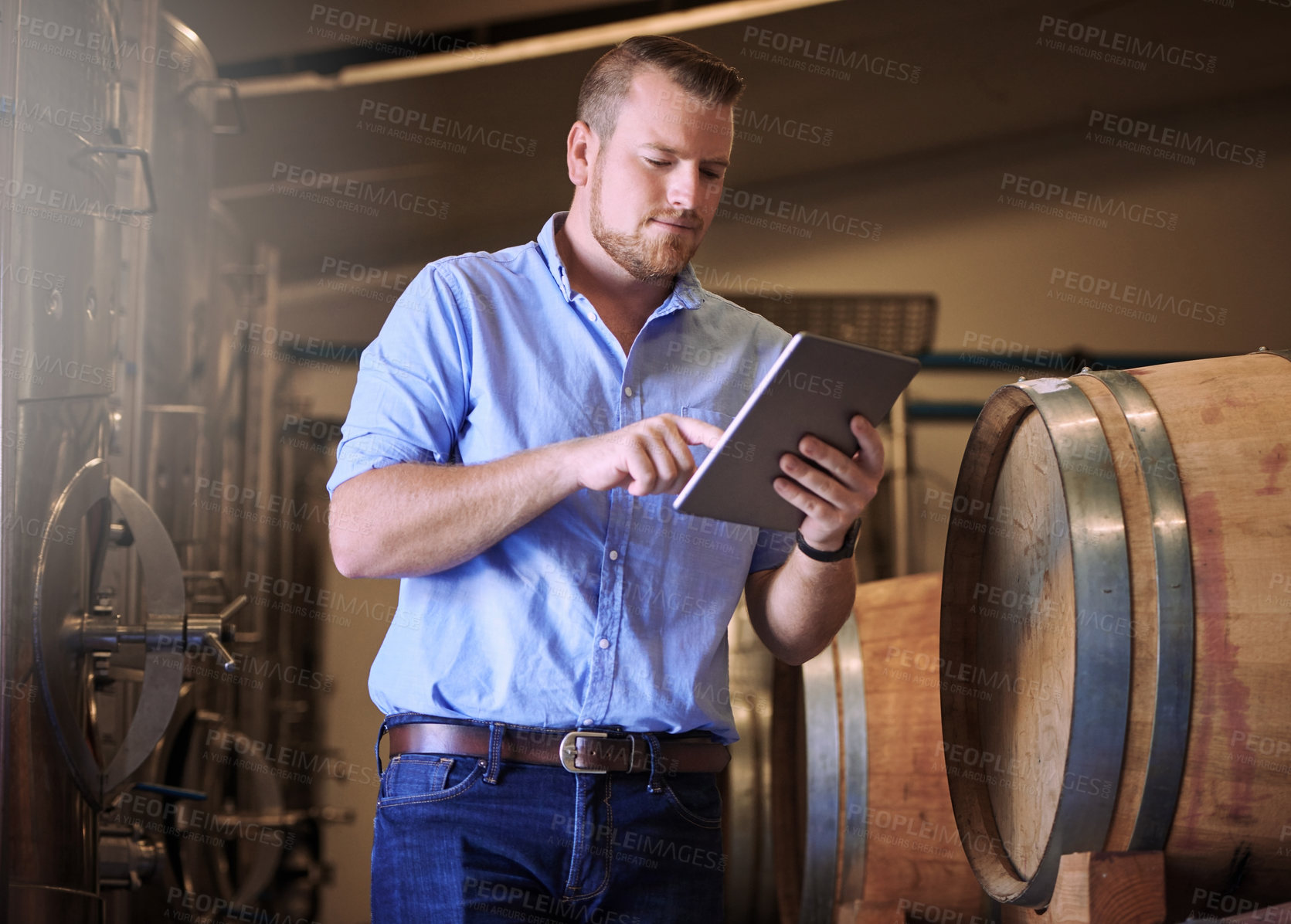 Buy stock photo Business, man and browsing tablet in brewery as manager for research or product, process and schedule for supplier. Employee, barrel and network for beer production, manufacturing or craft in factory