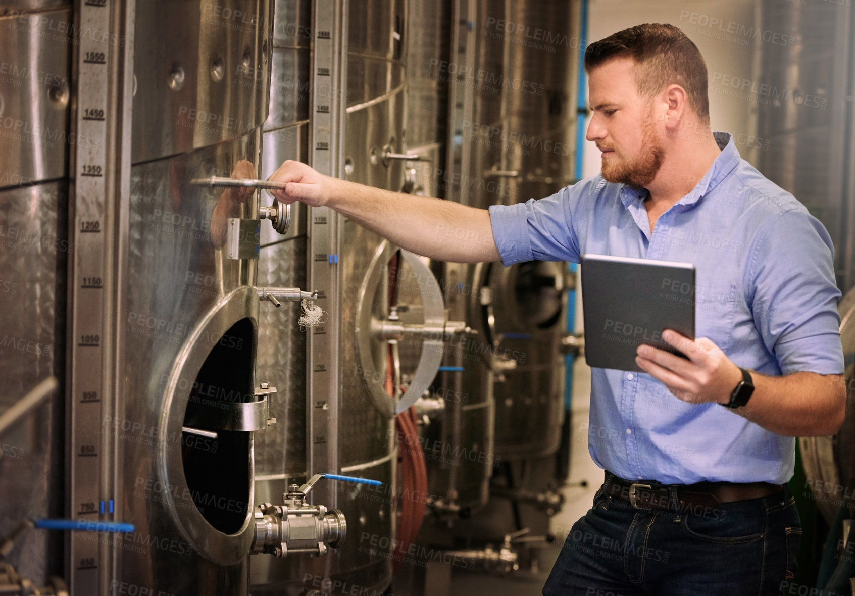 Buy stock photo Alcohol, man and working with tablet in brewery, inventory check and manufacturing for beer production with tech. Factory, manager or connection with digital for search, barrel or business management