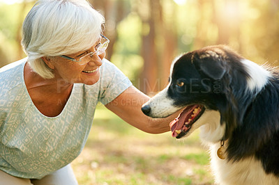 Buy stock photo Shot of a happy senior woman relaxing in a park with her dog