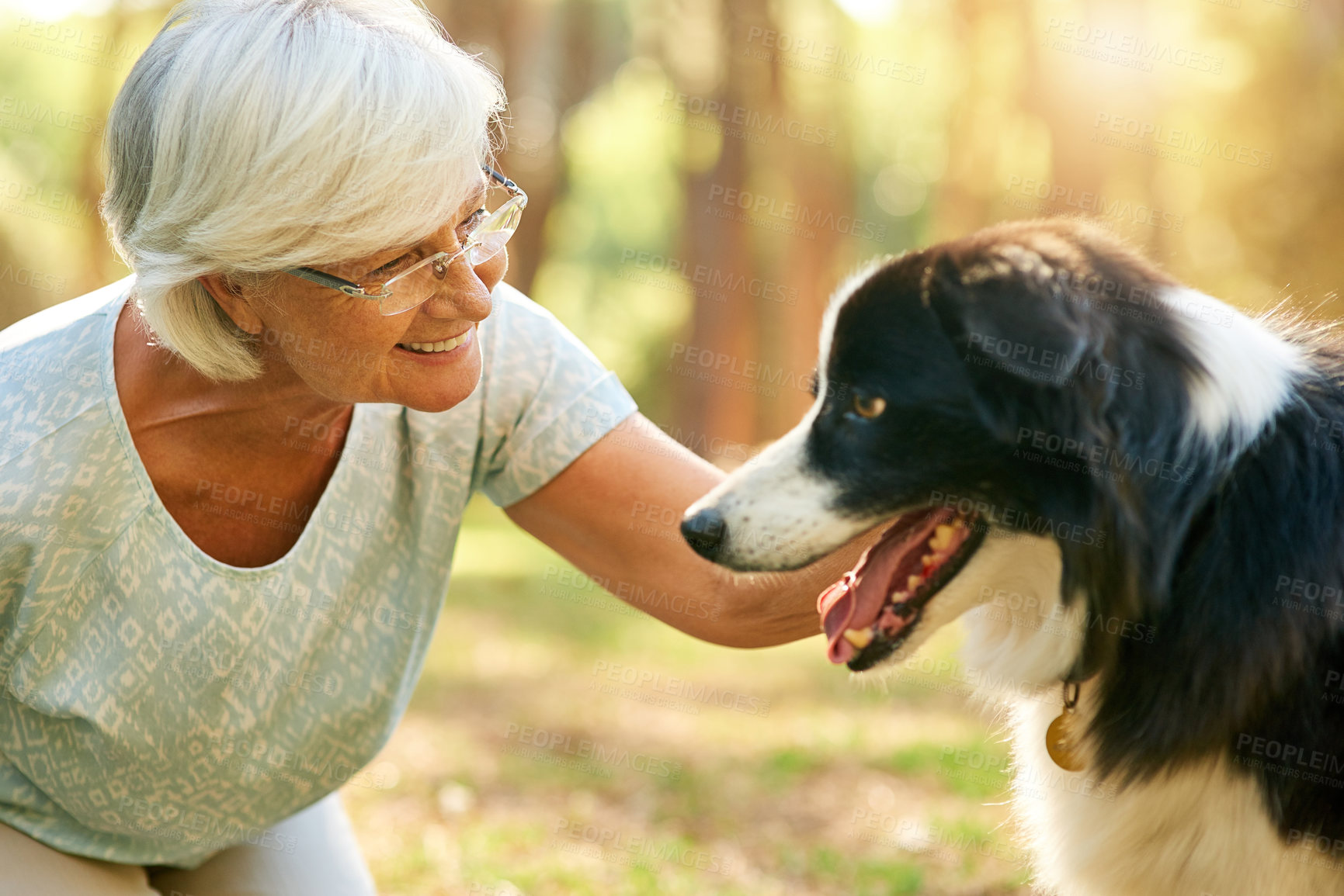 Buy stock photo Senior woman, dog and care in forest on touch with smile, love and adventure in summer sunshine. Elderly person, animal and border collie on path in park, woods or happy with nature in countryside