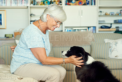 Buy stock photo Shot of a happy senior woman bonding with her dog at home