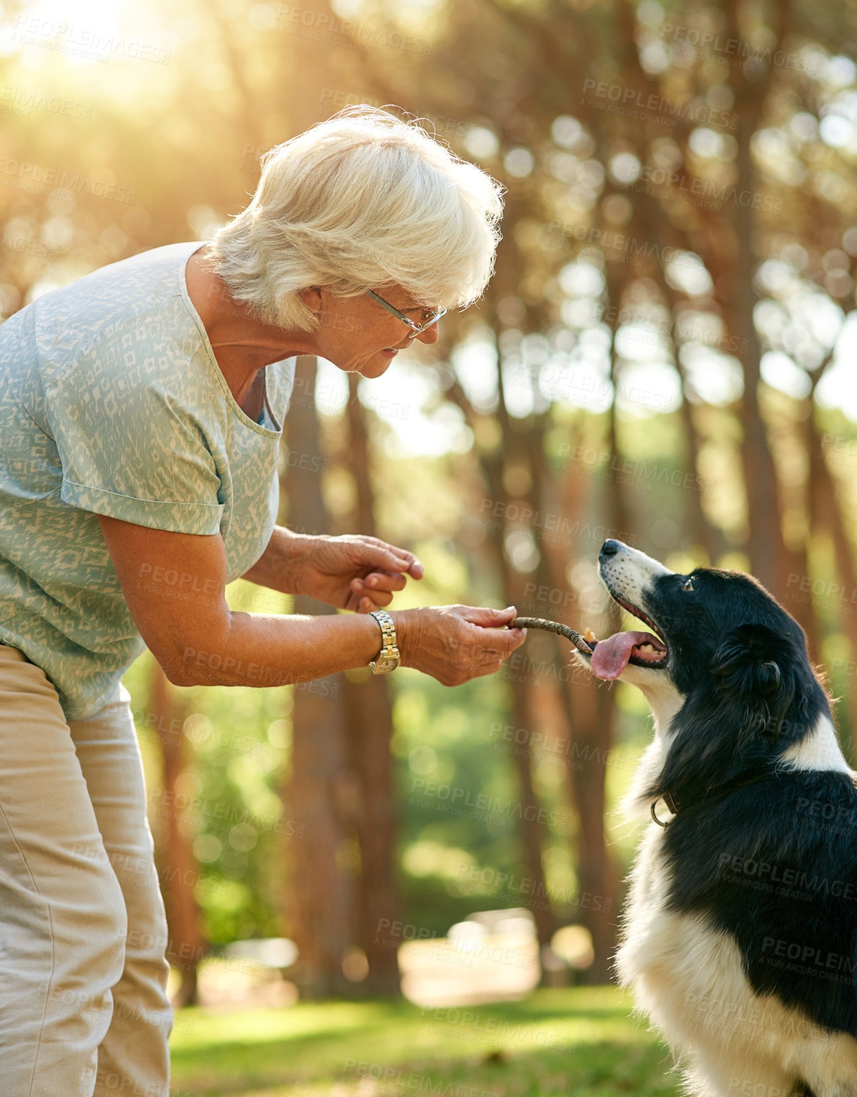 Buy stock photo Shot of a happy senior woman relaxing in a park with her dog