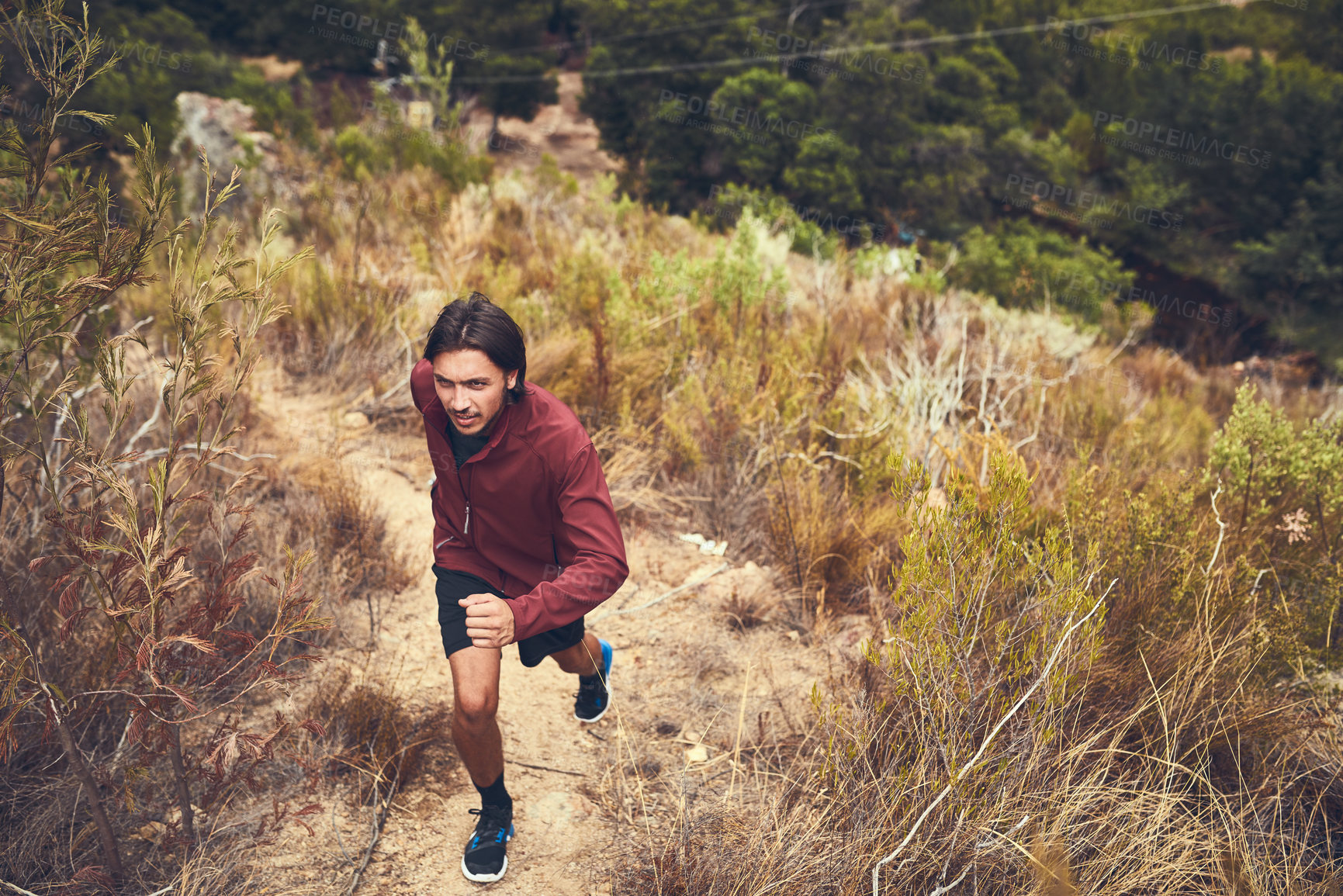 Buy stock photo Fitness, trail and man in nature for running, exercise or sports adventure in Switzerland. Outdoor, dirt path or trees with male runner for challenge, training or cardio with endurance for marathon