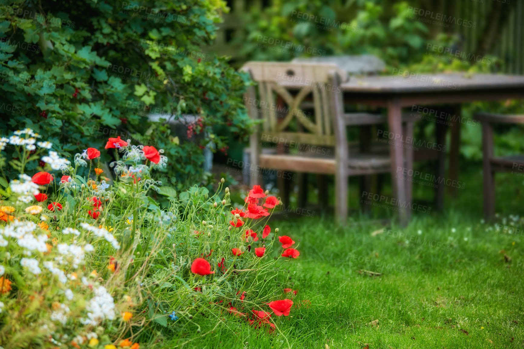 Buy stock photo Summertime - My private spot in the garden