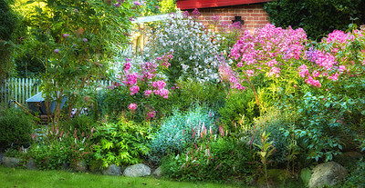 Buy stock photo A diversity of garden photos