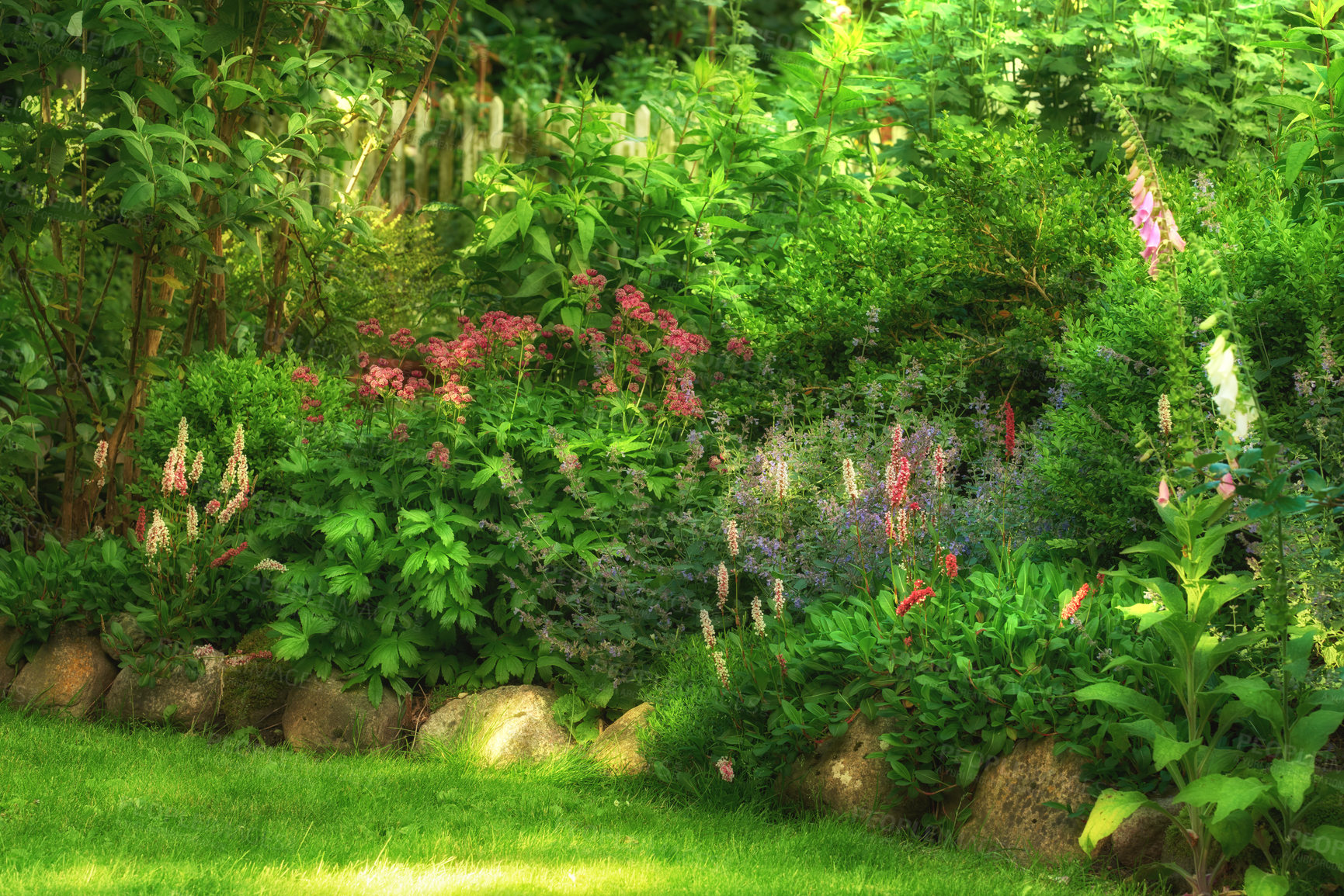 Buy stock photo Garden, lawn and flowers for landscaping by home with spring growth, blooming season or ecology. Floral design, plants and eco friendly backyard for sustainability, gardening or natural environment