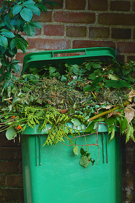 Buy stock photo Bin, plants and waste for compost in environment, nature and eco friendly for sustainability. Outdoor, backyard ecosystem and container for decay or rot, trash and leaves or flowers for soil use