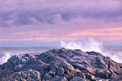 Buy stock photo Rocks, seascape and waves at ocean for wallpaper, splash and travel in nature with sunset sky. Sea, boulders and birds in environment for ecosystem, horizon and landscape in evening in California