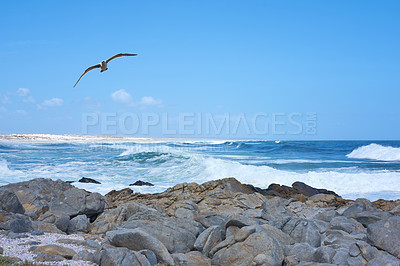 Buy stock photo A series of photos of ocean, beach and coast
