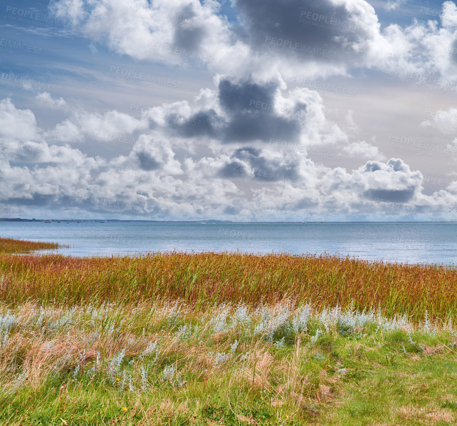 Buy stock photo Sea, grass and beach for travel, vacation destination or location for summer holiday trip. Ocean water, coast or lawn on land for tourism adventure, clouds and waves in horizon on island in Australia