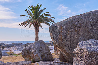 Buy stock photo Palm tree, tropical and sea with coast, rocks and destination for travel location in ocean or nature. Outdoor, island ecology and beach with scenic paradise, stones erosion or scenery in Indonesia