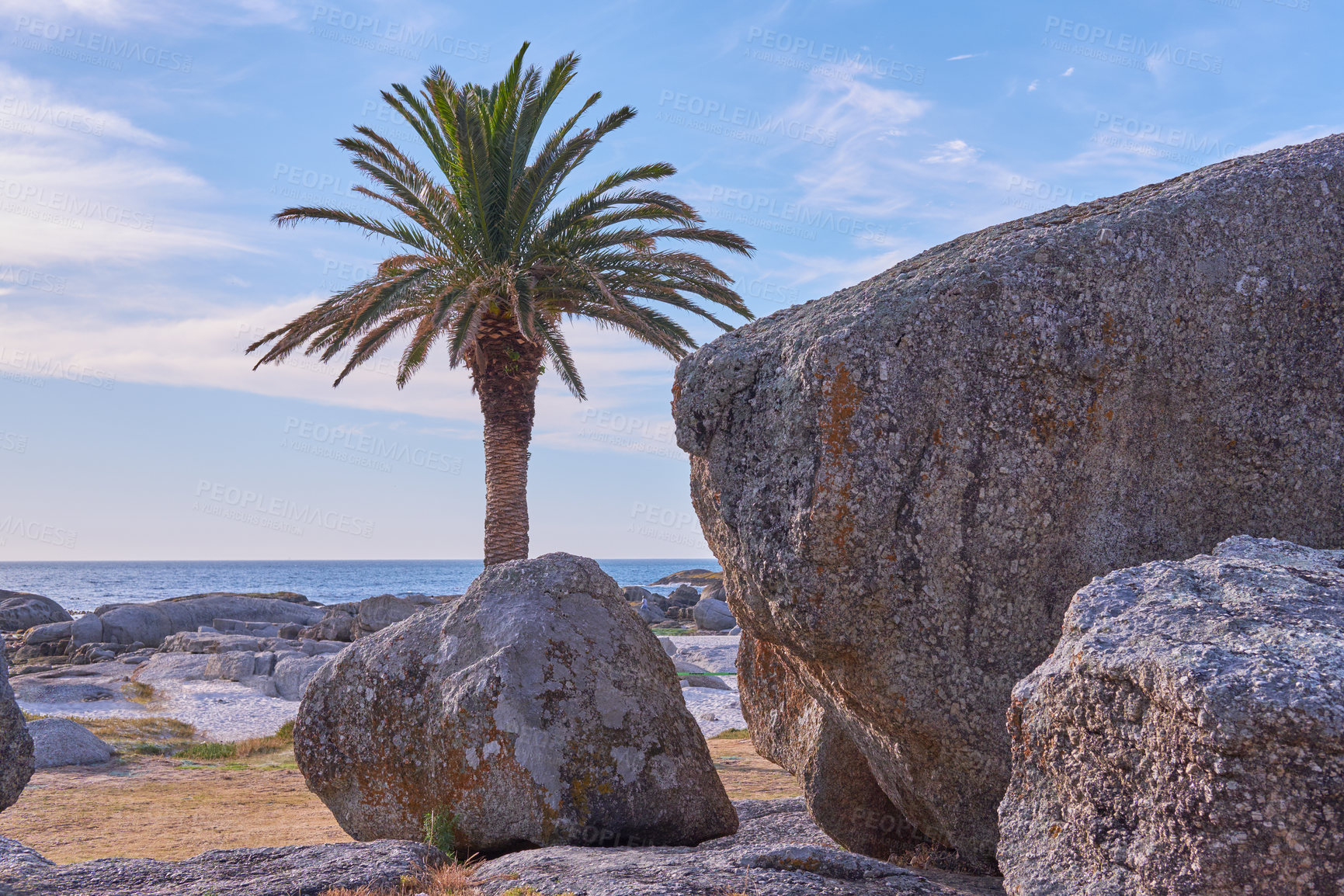 Buy stock photo Palm tree, tropical and sea with coast, rocks and destination for travel location in ocean or nature. Outdoor, island ecology and beach with scenic paradise, stones erosion or scenery in Indonesia