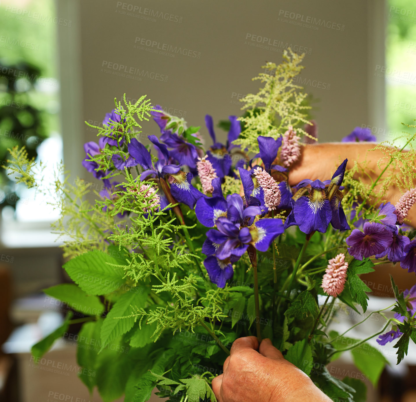 Buy stock photo A close-up view of  Larkspur purple flowers with green leaves, purple flowers in the hands in a house climate in spring, different, colorful wildflowers in summer, and bright light on it.