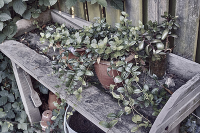 Buy stock photo Stacks of flower pots in a gardener's corner