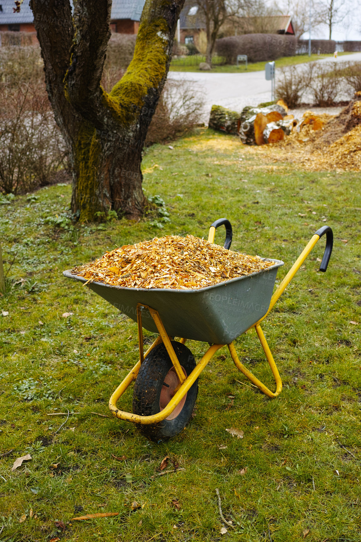 Buy stock photo A wheelbarrow filled with woodchips in the garden background. Milch or bark used as compost on lush green grass in spring. landscaping being done in frontyard with gardening tools on a sunny day