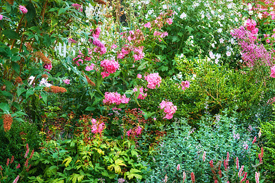 Buy stock photo A series of beautiful garden photos