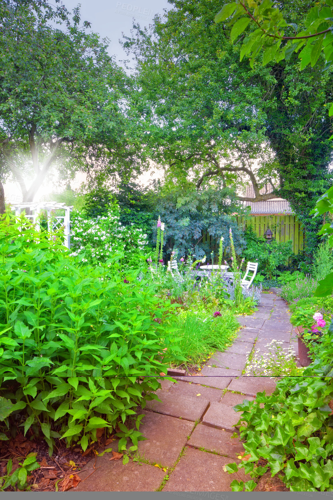 Buy stock photo A view of a backyard of a house with the way to the garden. landscape garden flower with plants in a leisure backyard and trees on a summer day. Sitting area in the backyard with chair and table.