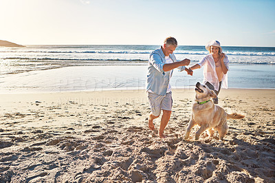 Buy stock photo Happy couple, holding hands and at the beach with a dog in summer for retirement travel in Indonesia. Smile, playful and an elderly man and woman on a walk at the sea with a pet for play and holiday