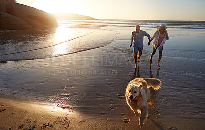 Buy stock photo Shot of a mature couple spending the day at the beach with their dog