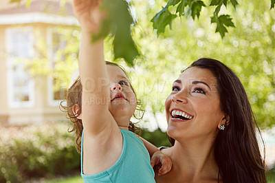 Buy stock photo Cropped shot of a mother and her adorable little daughter picking a leaf off a tree outside