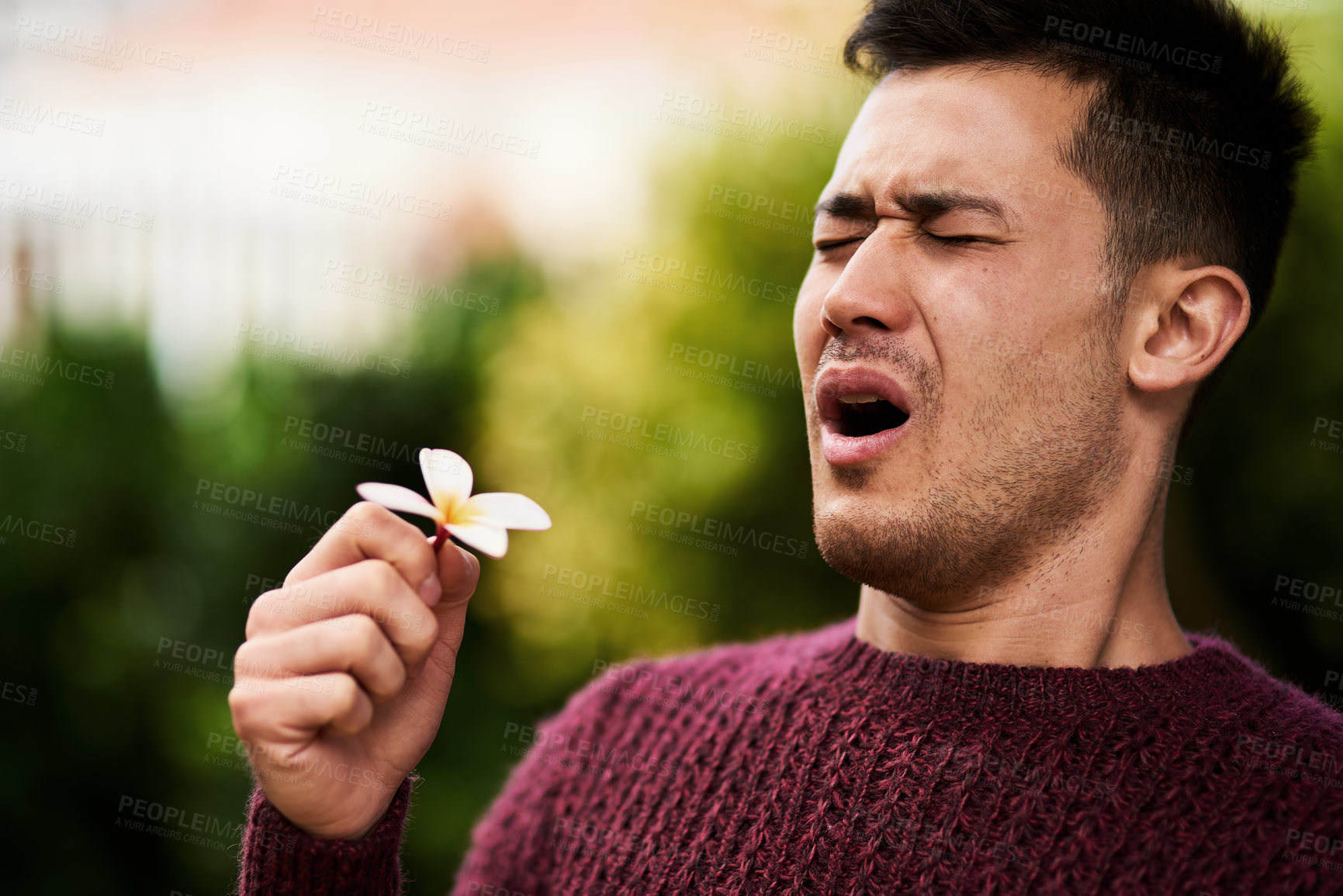 Buy stock photo Flower, sneeze and allergy for man, spring and sinus from pollen for illness. Safety, floral or male person with hayfever or bacteria in nature, nasal congestion and sinusitis from plants or dust