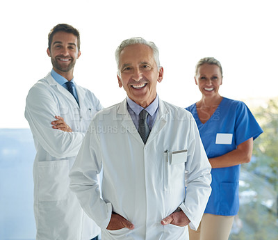 Buy stock photo Portrait of a group of medical practitioners standing together in a hospital