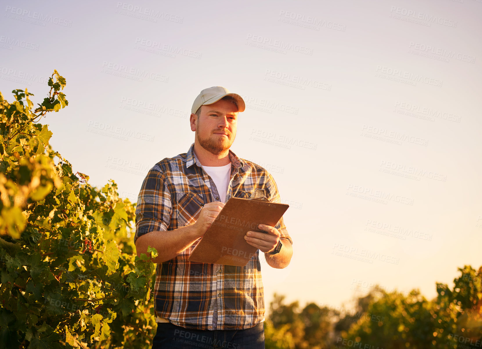 Buy stock photo Shot of a happy farmer making notes on a clipboard while standing in a vineyard