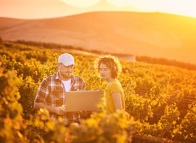 Buy stock photo Shot of two young farmers using a laptop while standing in a vineyard together