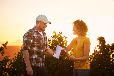 Buy stock photo Shot of two young winemakers making notes on a clipboard while standing in a vineyard