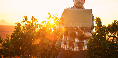 Buy stock photo Shot of an unidentifiable young farmer using a laptop while standing in a vineyard