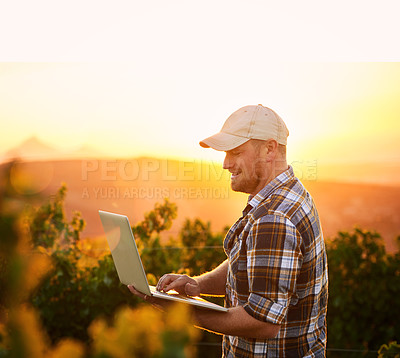 Buy stock photo Shot of a young farmer using a laptop while standing in a vineyard