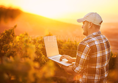 Buy stock photo Rearview shot of a young farmer using a laptop while standing in a vineyard