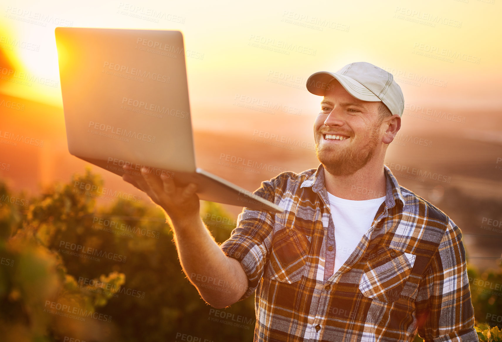Buy stock photo A casual, happy and smiling young male farmer holding a laptop in a vineyard with flare. A relaxed, carefree and natural outdoors man using technology to make working easier on a hot summer day