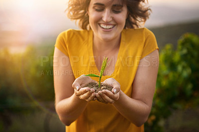 Buy stock photo Shot of a happy young woman holding a small seedling in her cupped hands while standing outside
