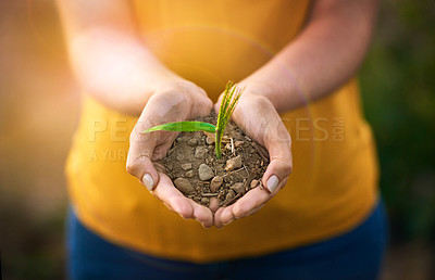 Buy stock photo Closeup of hands holding a plant and sand outside in nature in spring. Caring for the environment and growing sustainable, organic and ecological plantations by investing in agricultural growth