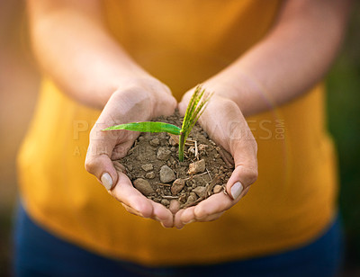 Buy stock photo Shot of an unidentifiable young woman holding a small seedling in her cupped hands while standing outside