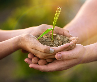Buy stock photo Shot of two unidentifiable people holding a small seedling in their hands while standing outside