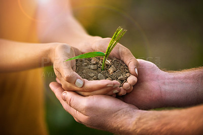 Buy stock photo Caring people holding in hands a seed, plant and soil growth for environmental awareness conservation or sustainable development. Eco couple with small tree growing in hand for fertility or Earth Day