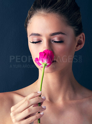 Buy stock photo Studio shot of an attractive young woman posing and smelling a beautiful pink rose