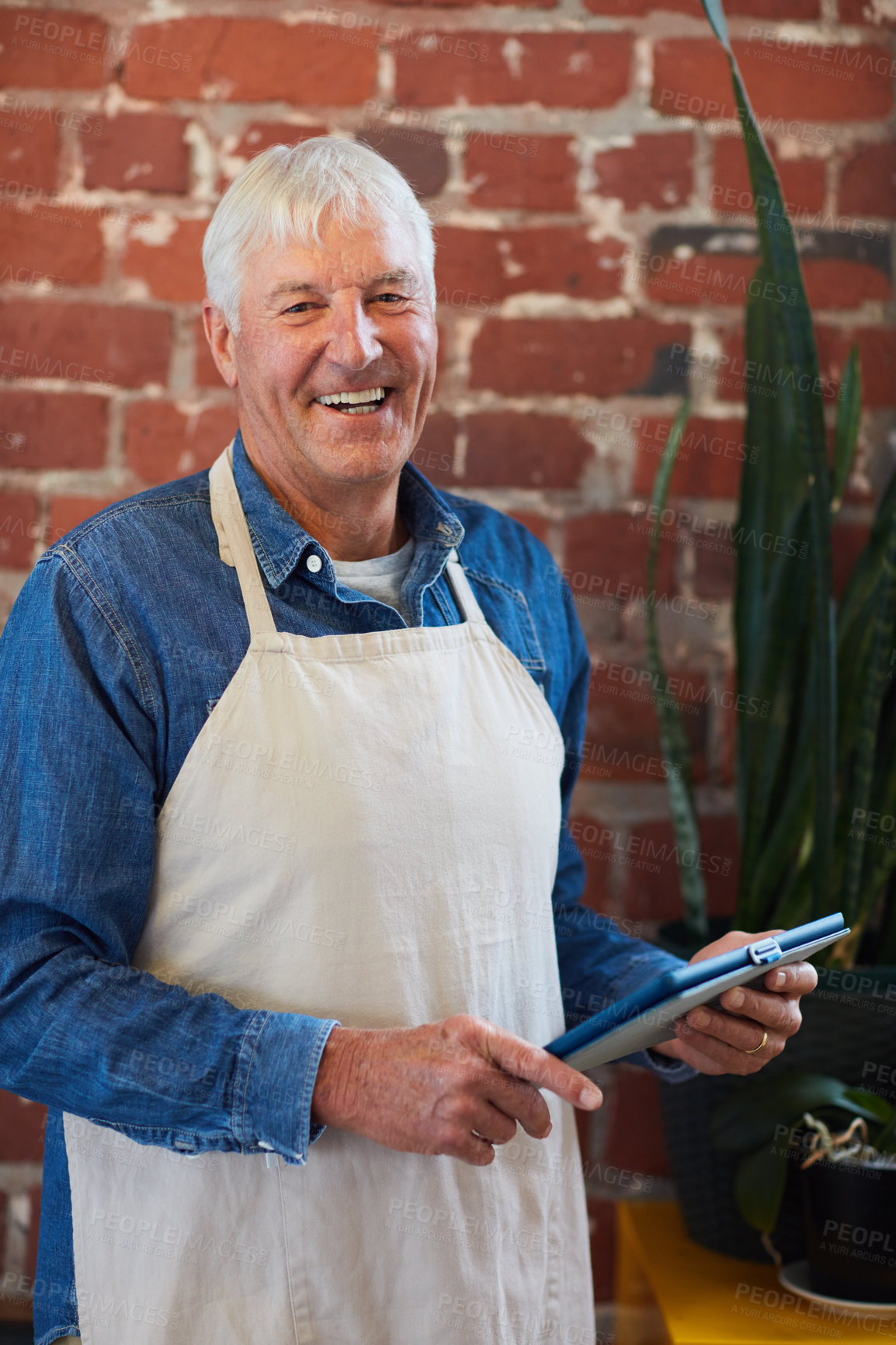 Buy stock photo Portrait of a confident senior business owner posing with an apron on in his coffee shop