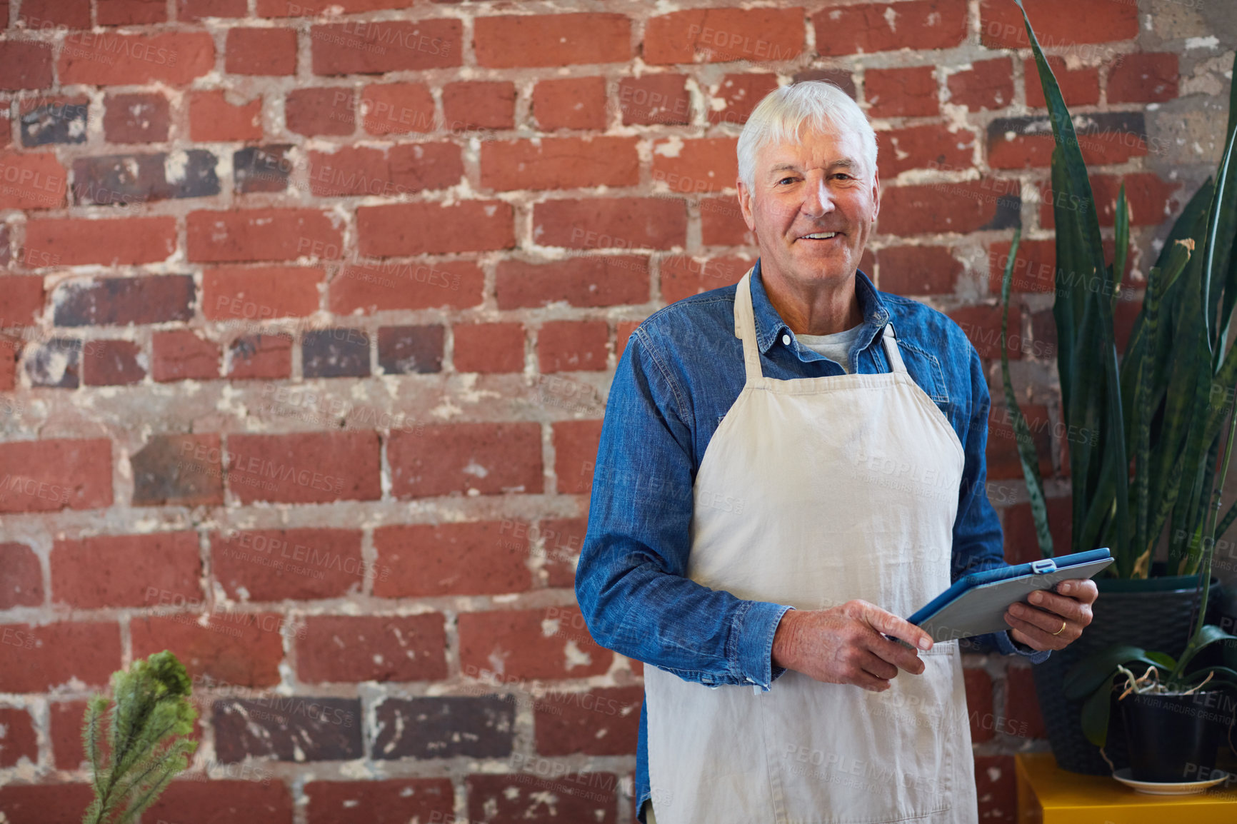 Buy stock photo Portrait of a confident senior business owner posing with an apron on in his coffee shop