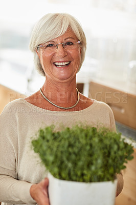 Buy stock photo Portrait of a happy senior woman holding a pot plant