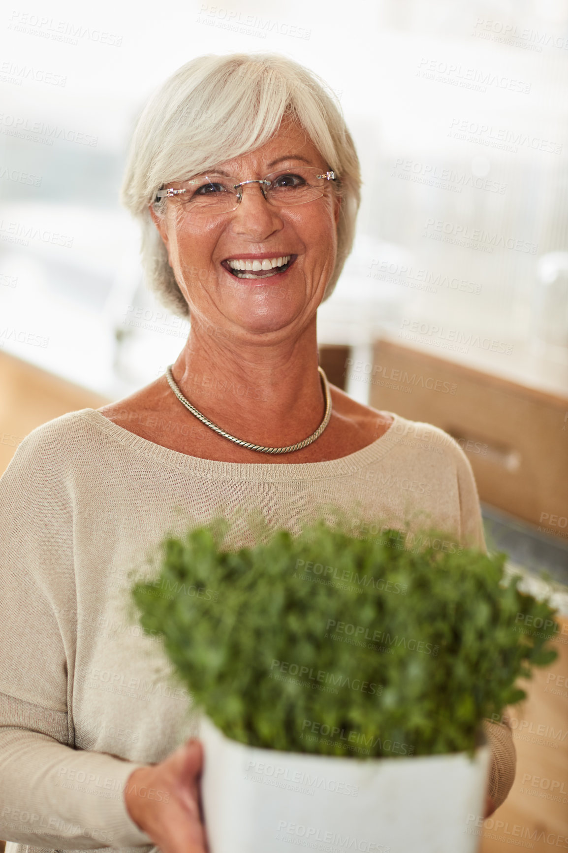 Buy stock photo Portrait of a happy senior woman holding a pot plant