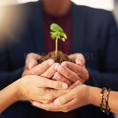 Buy stock photo Shot of a group of unrecognizable businesspeople holding a seedling in their cupped hands