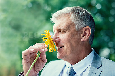 Buy stock photo Shot of a man smelling a flower after his flu has gone